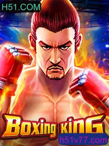 Explorando o Mundo de BoxingKing